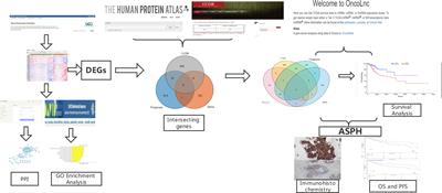 Identification of critical genes associated with radiotherapy resistance in cervical cancer by bioinformatics